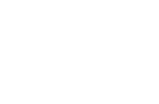 Union Pay